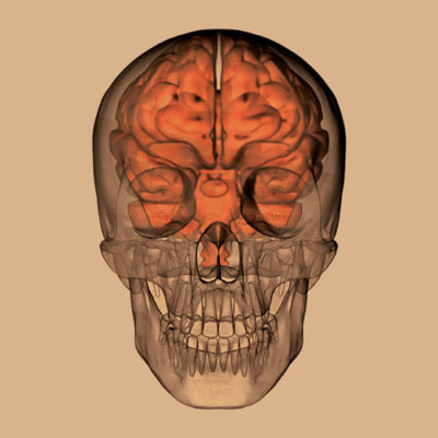 Eighth International Skull Base Dissection Course